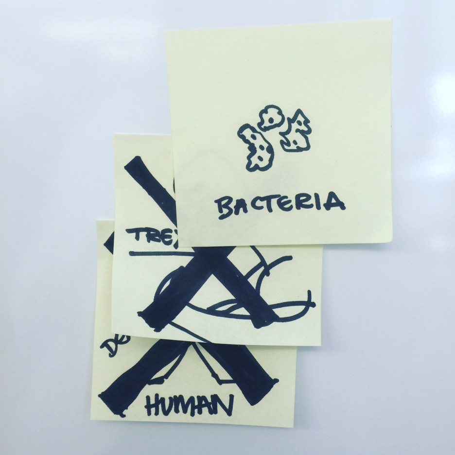 bacteria_drawing